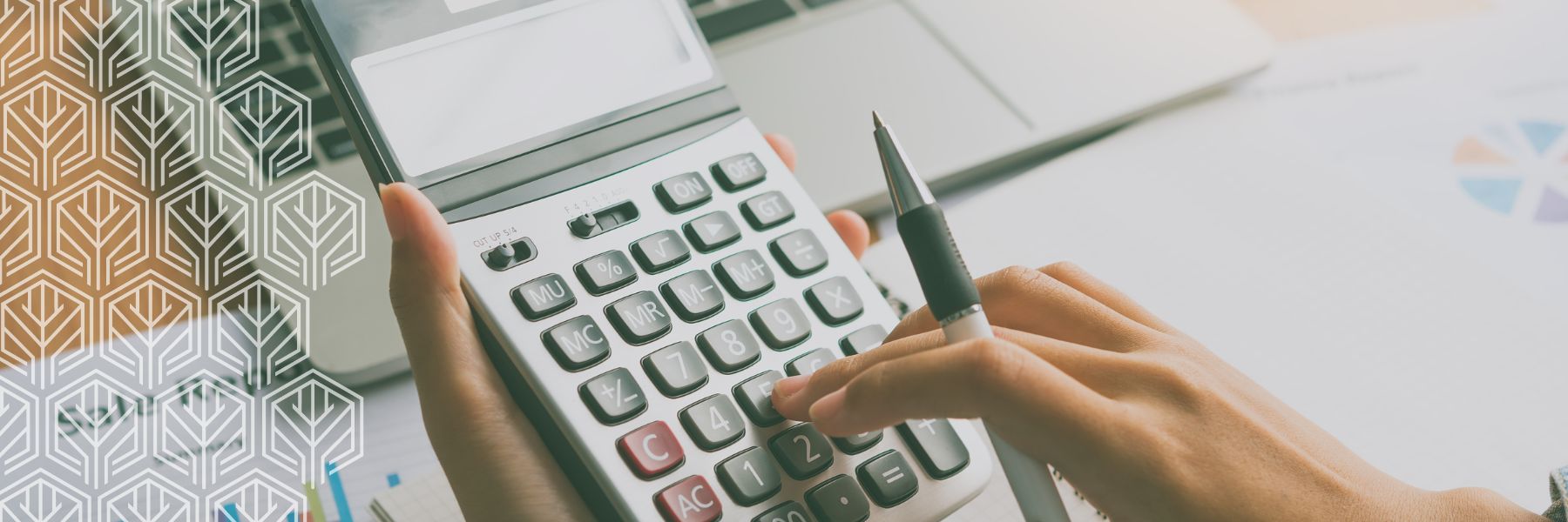 Doula Business Income Planning