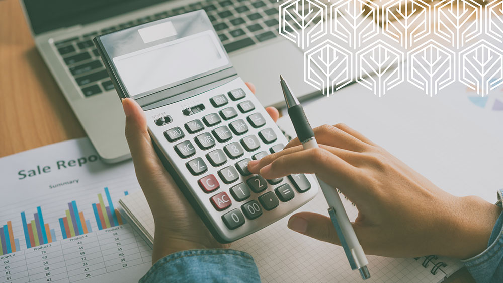 Doula Business Income Planning