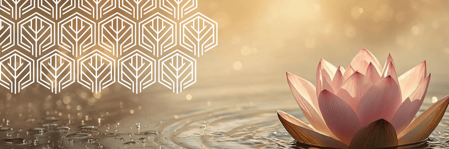 Mindfulness for Doulas blog